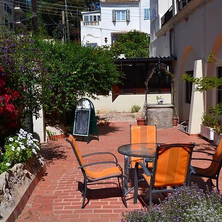La Mimosa Guesthouse Palma de Mallorca Zewnętrze zdjęcie