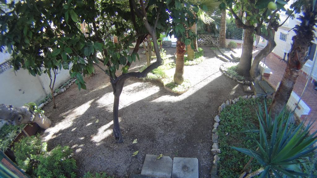 La Mimosa Guesthouse Palma de Mallorca Zewnętrze zdjęcie